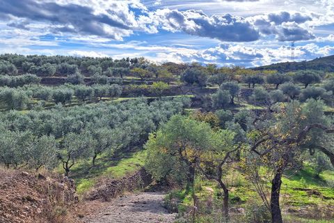 Finca i Tivissa, Tarragona, Tivissa - € 98 000 | Ref: CC833 - foto 16